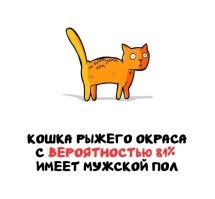 А можно поподробнее рассказать о процессе, как получали данные? Видео есть?