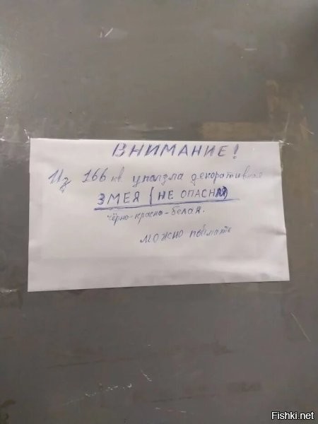 звонок в службу спасения:
- у меня тут змея!
-состоите в обществе охраны животных?
-нет...
-а в гринпис?
- нет...
-ну так е@ните её лопатой!