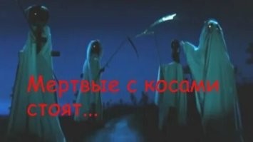 Вот портфолио
