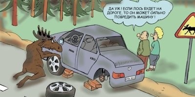 Лось "прокатился" по трассе в ЯНАО