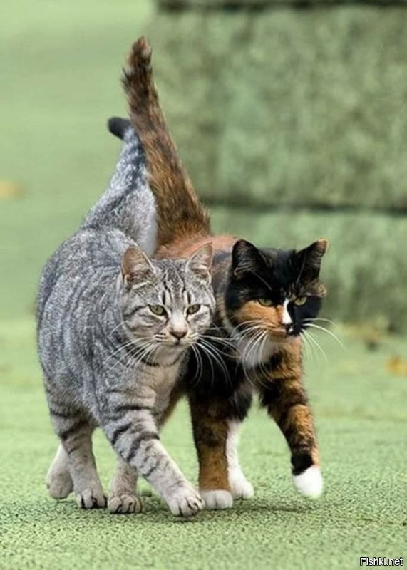 Доброе утро