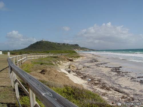 Caja de Muertos, Сундук мертвеца.
Остров недалеко от Пуэрто-Рико.
Прошу прощения за кривой перевод с испанского.
В 1599 году несколько английских торговцев отправились в Китай с письмом от королевы Елизаветы китайскому правительству. Однако экспедиция была опасной, и один из кораблей погиб из-за непогоды. У берегов Индии группа обратилась к пиратству и, узнав о португальском корабле, полном золота, серебра, драгоценных камней, других сокровищ и других ценностей (специй, шелка, одежды), они напали на судно и захватили его. Флоту удалось захватить еще одно судно, но в процессе он потерял свой флагман, а большая часть команды была смертельно ранена, включая командующего флотом. Из-за нехватки людей группа решила вернуться в Англию на борту меньшего корабля, забрав с собой часть добычи.
Пережив попытку мятежа, англичане решили захватить каноэ, оставленное фрегатом у восточного побережья Пуэрто-Рико, где они укрылись в Каха-де-Муэртос. Потеряв меньшее судно, англичане отправились на главный остров в поисках провизии, но один из них, оставшийся присматривать за каноэ, был захвачен и сообщил о наличии сокровищ местным властям.
Это привело к вторжению с целью забрать сокровище, в ходе которого все англичане, кроме одного, были внезапно казнены, несмотря на переговоры, а испанцы забрали сокровище с собой и сообщили, что оно было захвачено в битве с англичанами. Единственный выживший, по имени Томас, сумел построить самодельную лодку из деревянных остатков и отплыл в Пуэрто-Рико, где его доставили в Сан-Херман, где он рассказал свою версию событий. Губернатор Пуэрто-Рико заподозрил неладное, и между осенью 1599 и началом 1600 года было проведено расследование, которое привело к признанию одного из убийц. Затем власти начали конфисковывать сокровища, захваченные во время вторжения, а другие части исчезли и, как сообщается, оказались в руках племянника самого губернатора. Конфискованные сокровища были проданы с аукциона, и к 1602 году осталось около 4000 дукатов индийского серебра.
Следующий губернатор задействовал другую часть в строительстве, продав оставшуюся коллекцию драгоценностей и слитков. Последний фрагмент, большой драгоценный камень, был отправлен за границу для транспортировки в Испанию. После этих событий остров получил прозвище «Исла-де-Каха-де-Муэртос» («Сундук мертвеца»).