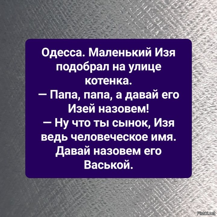Не любит кот Василий чужих