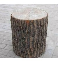 Не ищите здесь смысл. Здесь в основном маразм