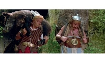 Стадо кабанов разгуливает по поселку в Свердловской области