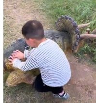 Юный охотник на динозавров. :)