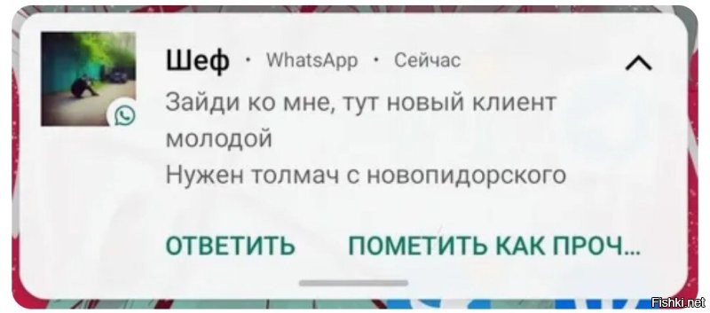 Скрины из соцсетей