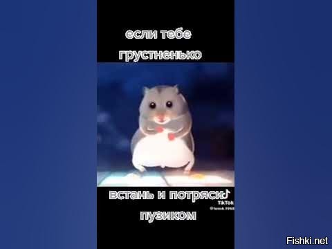 Солянка от 15.10.2025