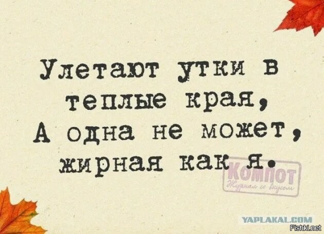 Солянка от 15.10.2025