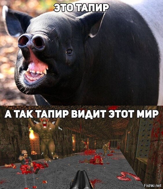 40 снимков прелестных созданий с невероятно мощной аурой позитива