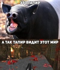 40 снимков прелестных созданий с невероятно мощной аурой позитива