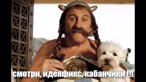 Стадо кабанов разгуливает по поселку в Свердловской области