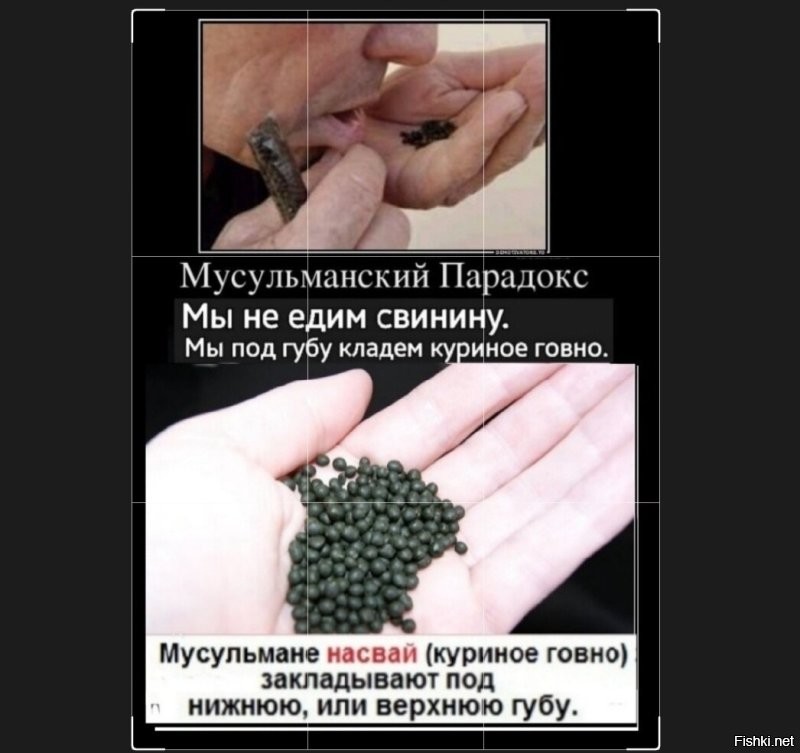 В Канаде играли в толерантность и проиграли