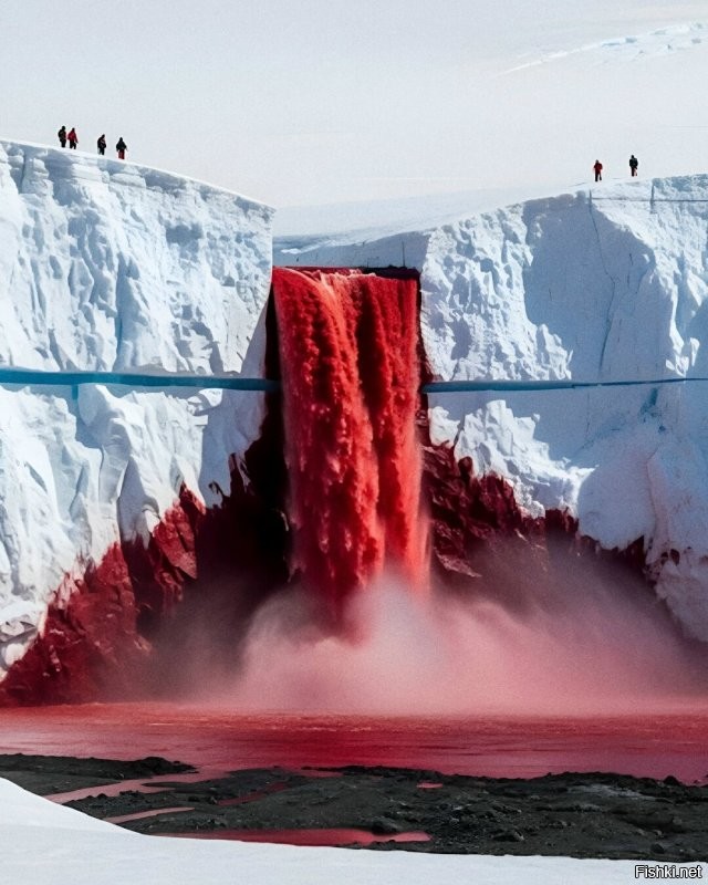 Солянка от 16.10.2025