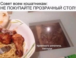 40 снимков прелестных созданий с невероятно мощной аурой позитива