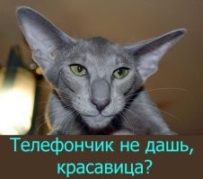 На общую тему&nbsp;