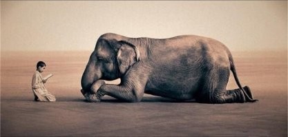 На общую тему&nbsp;