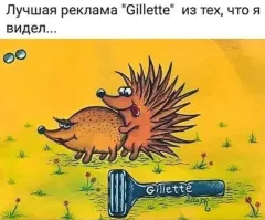 Китаец узнал, что жена заказала тушеных ёжиков