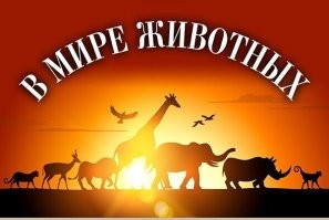 Новый ухажер женщины не смог разобраться с её бывшим мужем