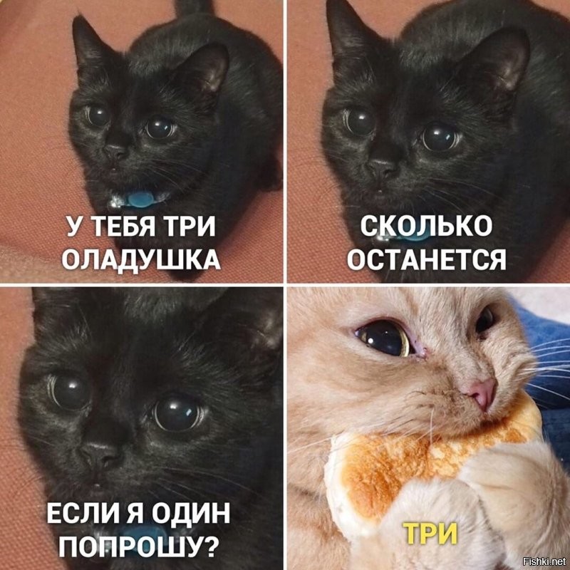 Не ищите здесь смысл. Здесь в основном маразм