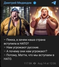 А что произошло в 2022-м чтобы оно хоть как то касалось финнов и шведов? С ними конкретно произошла истерия, которая продолжается и сейчас.