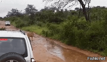 Махина физически серьёзная.