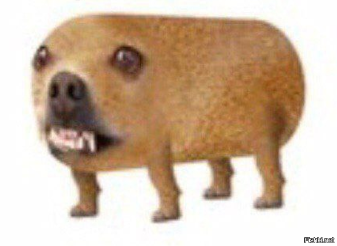 воощето жирным ублюдком у нас чистлиться - "хехешко" ,
или он тот маленький шибздик с твоей фотки ?
ты уж уточни сразу