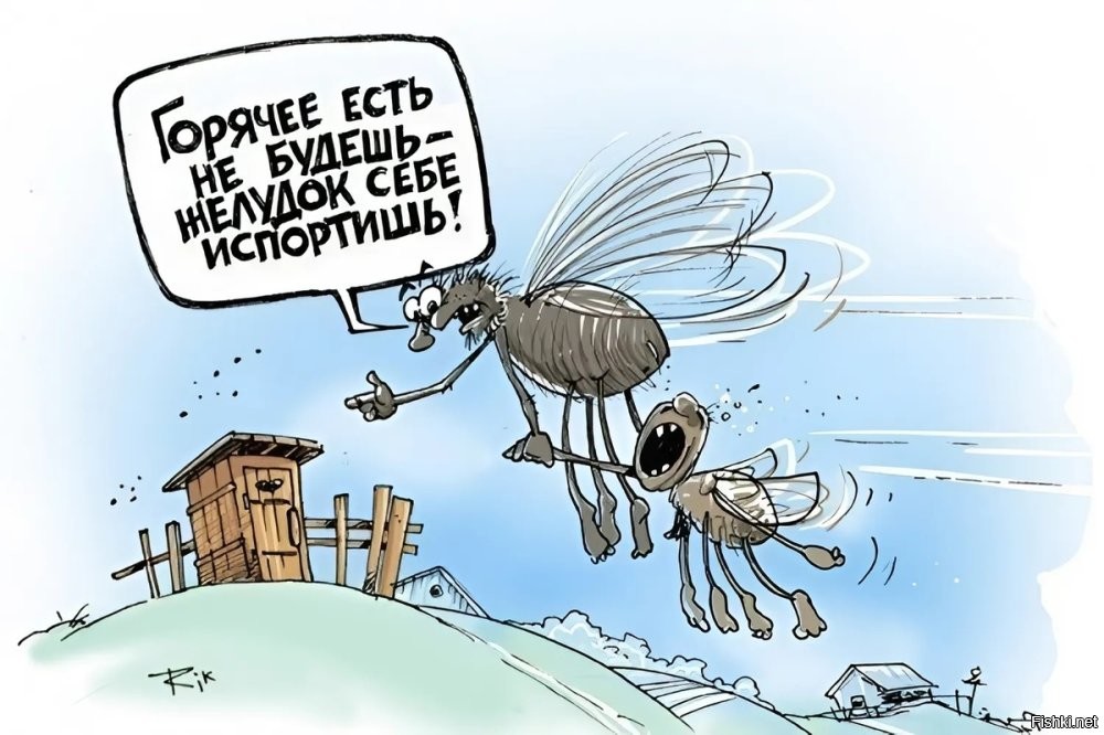 Солянка от 17.10.2025