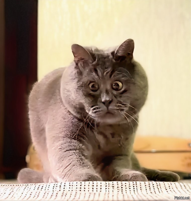 Де прича то ?