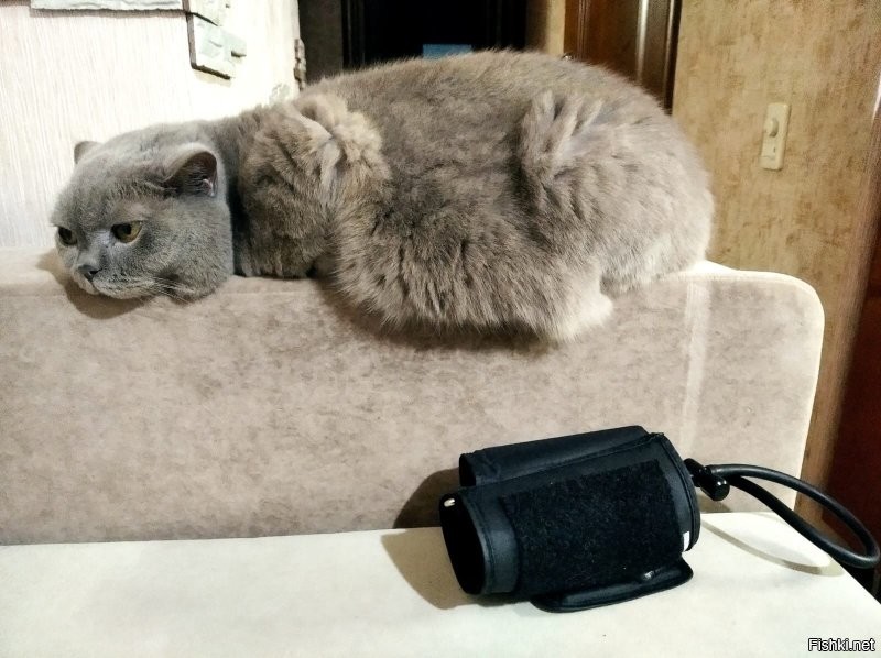 не на облако он отправился .. а выше = на радугу

коше 12, да не край, но возраст чувствуется,
не могу спокойно думать о расставании .. и щас в соплях