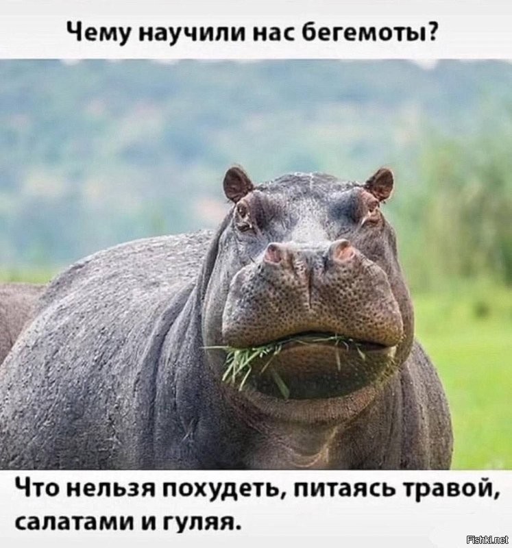 Встречаем пятницу