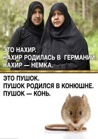 Прям таки чистокровный такой мелкобрит.