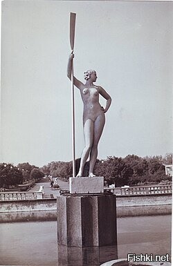 Яркая Спортивная Женщина на Деревянной Рамке - 2D Плоский Картина, Высокая Че...