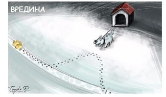 Пушистая банда провернула&nbsp;очередное дело