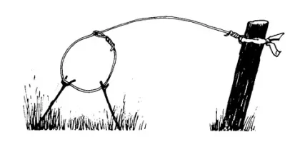 Классический силок!
Приспособление для ловли птиц и мелких животных. Обычно представляет собой конструкцию из подручных материалов   верёвочную петлю, привязанную или прикреплённую к дереву или колу. 
Кому понадобился этот китаец - неведомо!