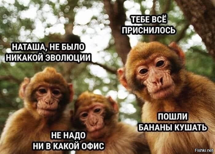 на работе)