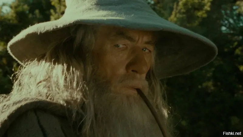 Солянка от 17.10.2025