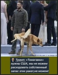 Лишь о политике , лишь о ней одной