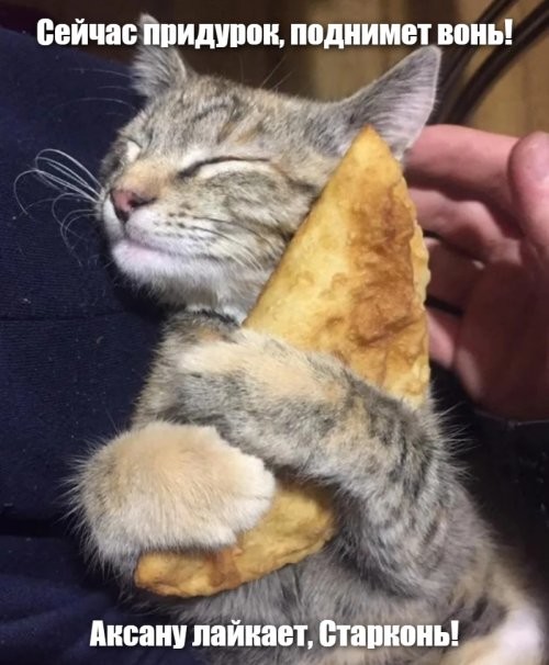 Солянка от 18.10.2025