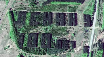 Аргентинский фермер вырастил «гитару» из 7000 деревьев