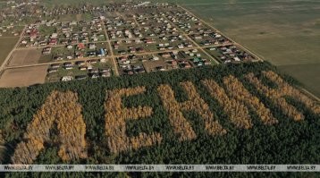 Аргентинский фермер вырастил «гитару» из 7000 деревьев