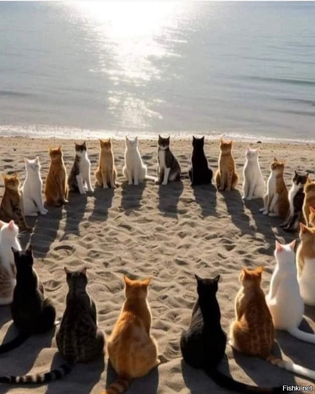 Доброе утро