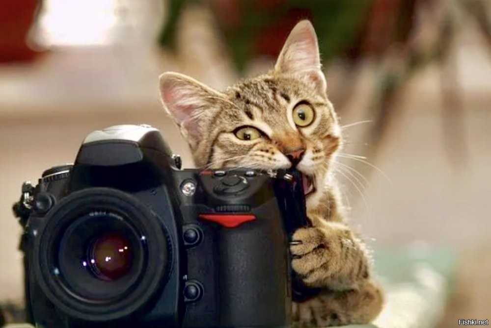 ... и все не так как надо ...