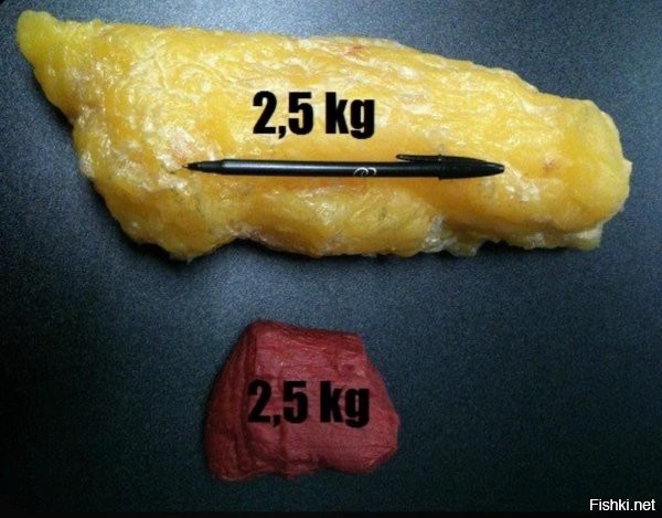 Если на снимке 2,5 кг мяса, то какого размера, простите эта ручка?!