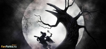 Загадка скрюченного леса: почему деревья у городка Хаффорд растут, будто одержимые