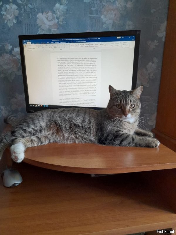 По похожему принципу 3 года назад котом обзавёлся. Двухмесячного котёнка пытались отдать знакомым когда в гостях у них был, а он забрался ко мне на руки, замурлыкал и заснул. Ситуация без вариантов :)