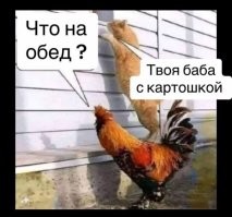 Немного чёрного юмора