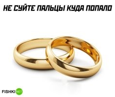 100% кэшбэк за отмену развода: в России придумали забавный способ спасти браки