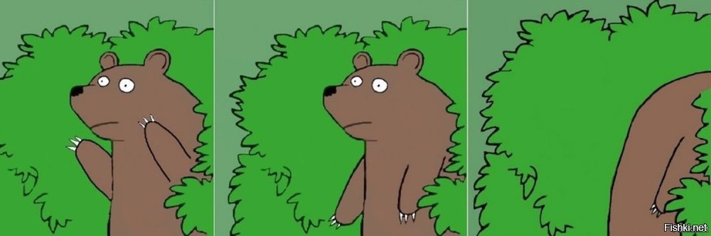 «Что у неё в голове? Опилки?»