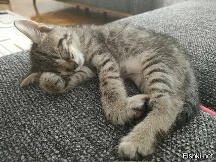 Солянка от 19.10.2025